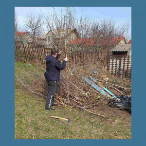 Curățenia generală de primăvară