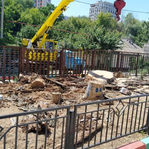 Venim cu un mare Mulţumesc pentru lichidarea plopilor, care sunt un pericol pentru viaţa noastră