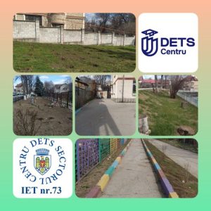 Lucrări de salubrizare a teritoriului și a terenului adiacent al instituției