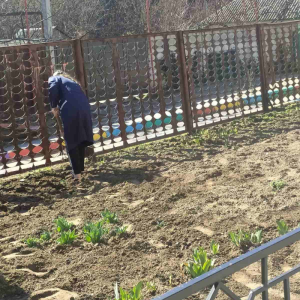 Salubrizarea terenului aferent și adiacent al IET nr.73