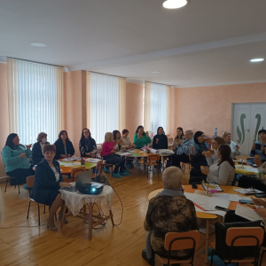 Seminar la nivel de sector, privind punerea în aplicare a Planului – cadru pentru învățământul preșcolar