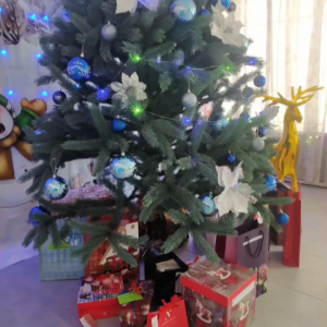 Colegi, Vă felicit cu mare drag şi spor cu ocazia sărbătorii de Crăciun!