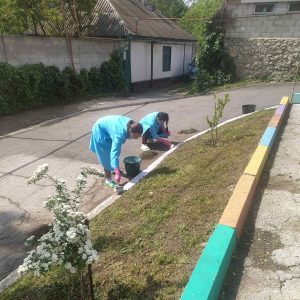 Astăzi, Albinuţele IÎP Grădiniţei nr.73 au continuat munca pe teritoriul instituţiei