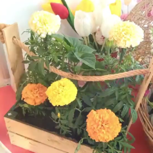 Transformarea pavilionului de joacă într-un mic colț de rai floral