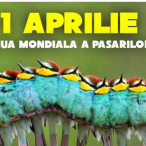 Ziua Internațională a Păsărilor