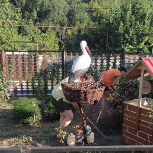 Lucrări de îngrijire a teritoriului grădiniței