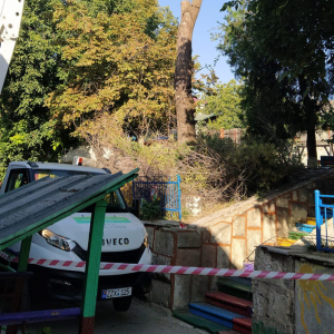Sincere mulțumiri pentru curățirea arborilor de pe teritoriul grădiniței