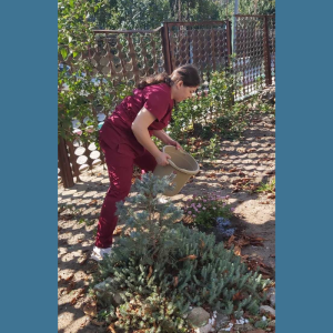 📢❗Curățenia generală de toamnă – implică-te și tu!❗❗❗