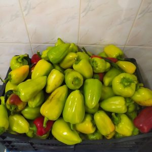 Susținerea alimentației sănătoase a copiilor din instituțiile preșcolare