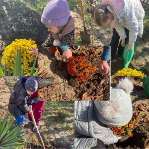 La plantat flori în curtea grădiniței