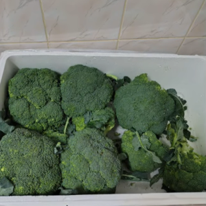 O zi din alimentația copiilor noștri
