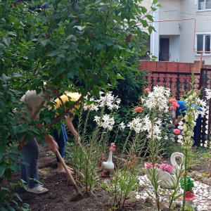 🌞👏Mulțumim din suflet pentru munca Dvs, pentru răbdare, dedicare și sprijin zi de zi. Apreciem efortul depus.