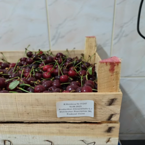 🌿 La Grădinița de Copii Nr. 73, știm că sănătatea începe din farfurie!